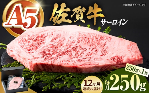 【全国有数のブランド牛】＜全12回定期便＞佐賀牛サーロインステーキ 250g【がばいフーズ】A5ランク 佐賀牛 牛肉 サーロイン ステーキ A5 佐賀牛 [HCS055]