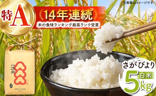 【ご飯でご飯が食べられる！】令和7年産 さがびより 白米 5kg（一等米）【一九FARM】 [HDC001]