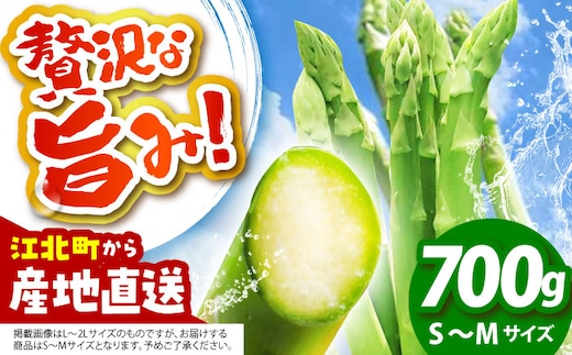 【3~8月発送】 アスパラ 700g（S～Mサイズ） 【えぐちファーム】 [HDE001]