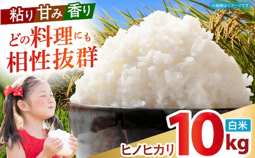 令和7年産 ヒノヒカリ 白米 10kg 【有限会社江北商会】 新米 精米 米 おこめ [HDK001]