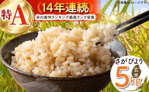 【ご飯でご飯が食べられる！】令和7年産 さがびより 玄米 5kg（一等米）【一九FARM】 [HDC002]