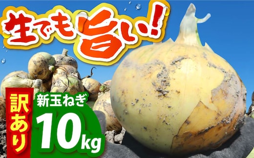 【先行予約】 訳あり 新玉ねぎ 10kg【えぐちファーム】 不揃い たまねぎ 小玉 [HDE002]