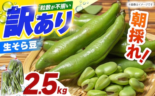【朝採れ】 訳あり 生そら豆 2.5kg 【にしやまファーム】 新物 さや付き そら豆 [HDI002]