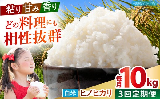 【全3回定期便】 ヒノヒカリ 白米 10kg 【有限会社江北商会】 [HDK002]