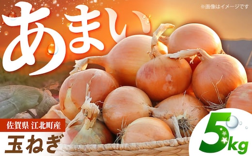 【先行予約】 玉ねぎ 5kg 【吉祥】 [HDG003]