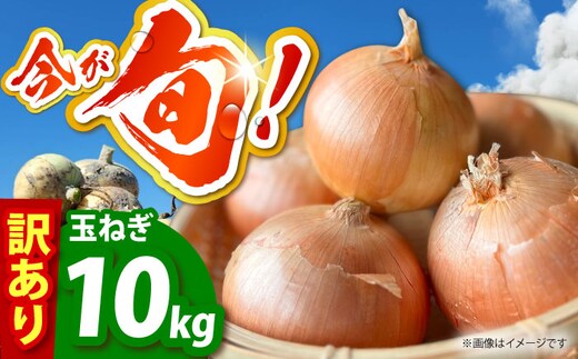 【今が旬!】 訳あり 玉ねぎ 10kg 【えぐちファーム】 不揃い たまねぎ [HDE004]