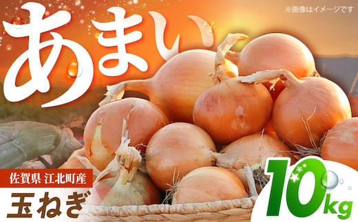 【先行予約】 玉ねぎ 10kg 【吉祥】 [HDG004]