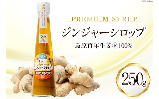 AI200 ジンジャー シロップ 250g 1本 [ 生姜 しょうが ショウガ ジンジャーエール ジンジャーハイボール 松本農園 人作 長崎県 島原市 ]