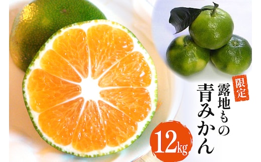 DD001 【令和8年9月下旬から順次発送】森崎果樹園の露地もの青みかん（12kg）[みかん ミカン オレンジ 果物 くだもの フルーツ 酸味 露地もの 青もの 長崎県 島原市]