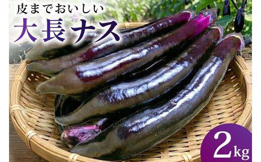 BF002【令和8年度出荷分】皮までおいしい！島原 大長ナス 2kg [ なす ナス 茄子 なすび 野菜 長ナス 天ぷら 焼き茄子 味噌汁 産地直送 長崎県 島原市 ]