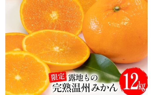 DD002 【令和8年10月下旬から順次発送】森崎果樹園の露地もの完熟温州みかん（12kg）[みかん ミカン オレンジ 果物 くだもの フルーツ 露地もの 完熟 温州 長崎県 島原市]