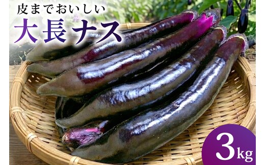 BF003【令和8年度出荷分】皮までおいしい！島原 大長ナス 3kg [ なす ナス 茄子 なすび 野菜 長ナス 天ぷら 焼き茄子 味噌汁 産地直送 長崎県 島原市 ]