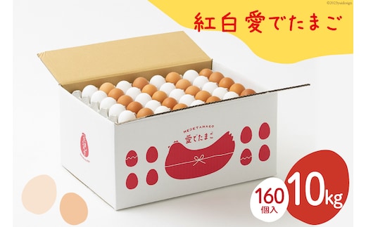 AH103 【業務用】紅白愛でたまご 10kg 【 島原市 業務用 直送 卵破損補償 】