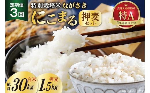DD103【3回定期便】特別栽培米ながさきにこまる・押麦セット[ 白米 精米 ごはん ご飯 こめ おこめ もちもち おにぎり 粘り おいしい 長崎県産 長崎県産米 長崎にこまる 長崎県 島原市 ]
