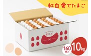 AH103 【業務用】紅白愛でたまご 10kg　【 島原市 業務用 直送 卵破損補償 】