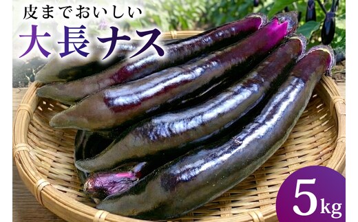 BF004【令和8年度出荷分】皮までおいしい！島原 大長ナス 5kg [ なす ナス 茄子 なすび 野菜 長ナス 天ぷら 焼き茄子 味噌汁 産地直送 長崎県 島原市 ]