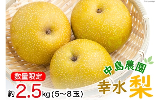 CH004 【令和9年度出荷分】【数量限定】 幸水梨 約2.5kg（5玉～8玉）[新鮮 農家直送 夏の味覚 フルーツ 贅沢宝庫 長崎県 島原市]