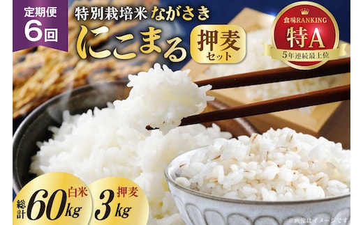 DD104【6回定期便】特別栽培米ながさきにこまる・押麦セット[ 白米 精米 ごはん ご飯 こめ おこめ もちもち おにぎり 粘り おいしい 長崎県産 長崎県産米 長崎にこまる 長崎県 島原市 ]