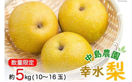 CH005 【令和9年度出荷分】【数量限定】 幸水梨 約5kg（10玉～16玉） [新鮮 農家直送 夏の味覚 フルーツ 贅沢宝庫 長崎県 島原市]