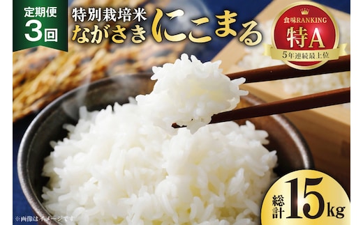 DD105【3回定期便】特別栽培米ながさきにこまる 5kg[ 白米 精米 ごはん ご飯 こめ おこめ もちもち おにぎり 粘り おいしい 長崎県産 長崎県産米 長崎にこまる 長崎県 島原市 ]