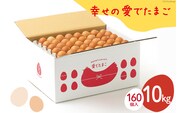 AH105 【業務用】幸せの愛でたまご 10kg　【 島原市 業務用 直送 卵破損補償 】