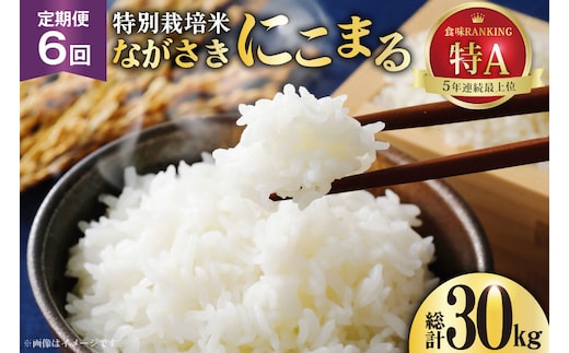 DD106【6回定期便】特別栽培米ながさきにこまる 5kg[ 白米 精米 ごはん ご飯 こめ おこめ もちもち おにぎり 粘り おいしい 長崎県産 長崎県産米 長崎にこまる 長崎県 島原市 ]