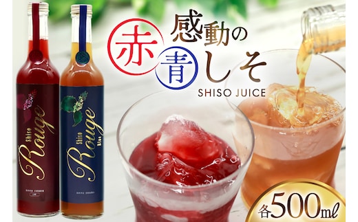 AJ307 感動の赤しそジュース 瓶 500ml 感動の青しそジュース 瓶 500ml [ しそジュース 紫蘇ジュース 赤しそ 青しそ 長崎県 島原市 ]