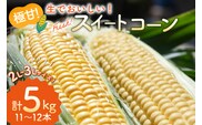 AI207【令和8年度出荷分】とうもろこし スイートコーン イエロー 2L～3Lサイズ 11本～12本 計5kg [ トウモロコシ コーン ゴールドラッシュ 野菜 5キロ さかいさんち SAKAI FARM 長崎県 島原市 ]