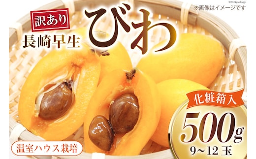 BI208 【令和9年度出荷分】訳あり 長崎 びわ 500g 温室ハウス栽培 長崎早生 [ フルーツ 枇杷 ビワ 果物 化粧箱入り 季節限定 99アイランドファーム 長崎県 島原市 ]