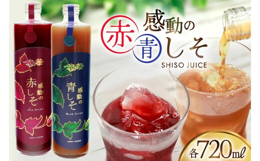 AJ308 感動の赤しそジュース 瓶 720ml 感動の青しそジュース 瓶 720ml [ しそジュース 紫蘇ジュース 赤しそ 青しそ 長崎県 島原市 ]