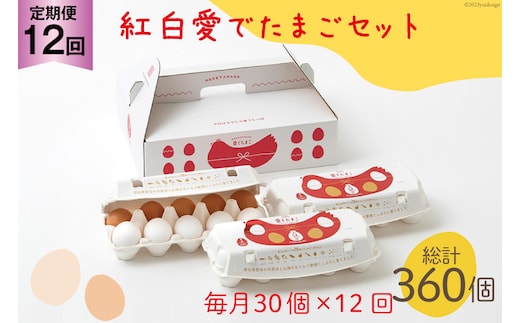 AH109 【12回定期便】紅白愛でたまごセット30個 総計360個【 卵 たまご 島原市 定期便 お祝い 】