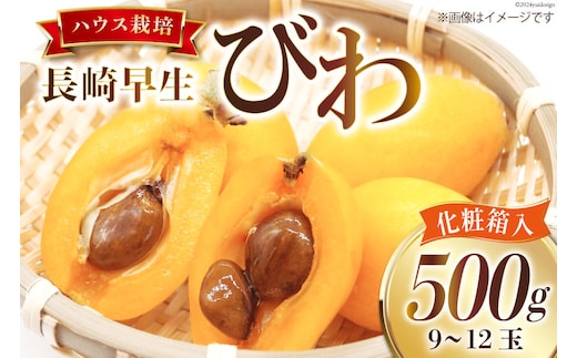 BI209 【令和9年度出荷分】赤秀 長崎 びわ 500g 温室ハウス栽培 長崎早生 [フルーツ 枇杷 ビワ 果物 化粧箱入り 季節限定 99アイランドファーム 長崎県 島原市 ]