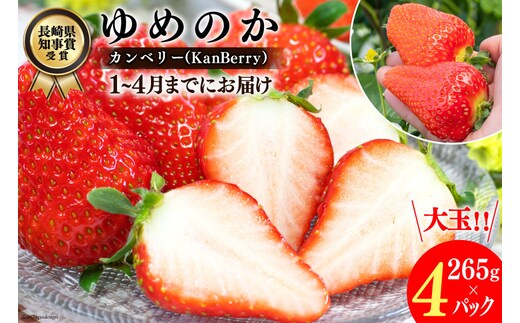 【期間限定発送】EA050 長崎県知事賞受賞【 大玉 いちご 】「 ゆめのか （3L～5L）」265g×4パック ＜1～4月にお届け＞