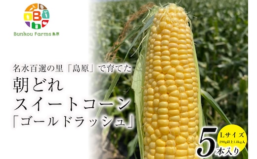 CE280【令和8年度出荷分】 5月下旬から出荷！ 朝どれ スイートコーン L×5本セット(1.8kg入) ～名水百選の里 島原産～