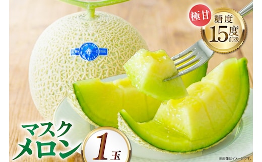 【期間限定発送】AB010 その道一筋の生産者がじっくり丁寧に育てた マスクメロン 1玉入