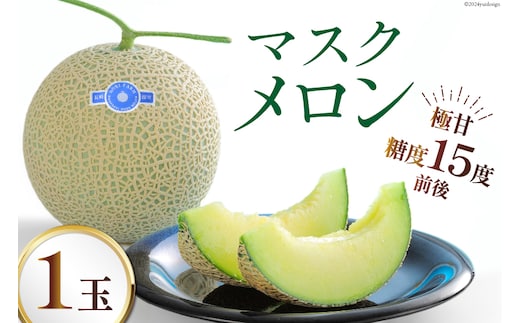 【期間限定発送】AB010 その道一筋の生産者がじっくり丁寧に育てた マスクメロン 1玉入