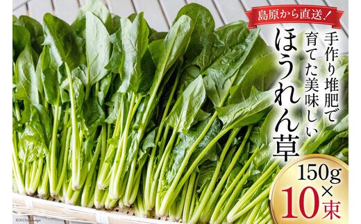 【BH010】ほうれん草 150g×10束