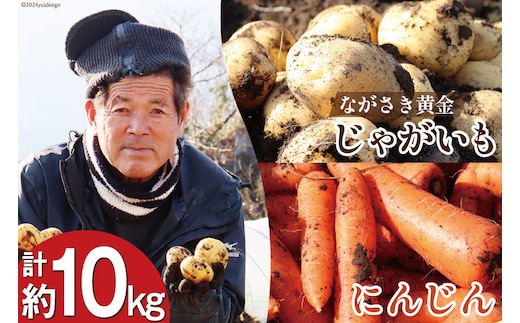 BI210 じゃがいも ＆ 人参 セット ( ながさき黄金＆冬人参 ) 約 10kg [ 野菜 野菜セット 詰め合わせ ジャガイモ にんじん ニンジン 10キロ 黄金 贅沢宝庫 長崎県 島原市 ]