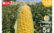 BF110 10月下旬から出荷！「朝どれスイートコーン！」Lサイズ以上×5本セット【全国的にも珍しい秋季出荷】