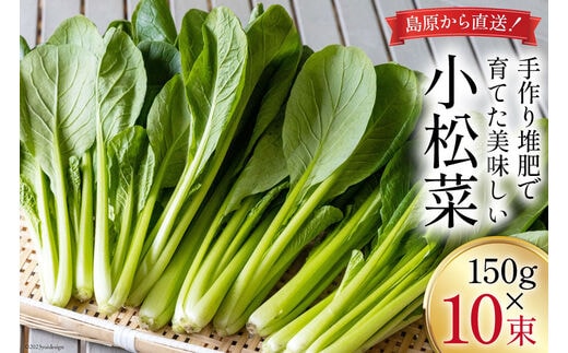 【BH013】小松菜 150g×10束