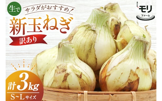 AJ113 【訳あり】 湧水の里 モリファーム 新玉ねぎ 3kg 不揃い (S～Lサイズ混合) [ 新たまねぎ 新たま 玉ねぎ たまねぎ タマネギ 生玉ねぎ サラダ おいしい ふぞろい 訳アリ 森農園 湧水の里 モリファーム 長崎県島原市 ]
