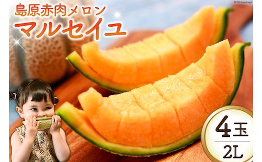 BI114 【令和8年度出荷分】 島原赤肉メロン「マルセイユ」（2L×4玉） [ メロン めろん マルセイユ 赤肉 フルーツ 果物 小原商店 長崎県 島原市 ]
