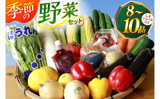 AJ314 季節の野菜・果物セット 8～10品 しそジュース付き [ 野菜 詰合せ 長崎県 島原市 ]