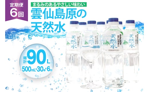 AJ616 山崎本店酒造場 【6回定期便】 雲仙島原の天然水 500mL 30本 計15L [ 水 ペットボトル 天然水 おいしい 備蓄 日用品 大容量 定期便 定期 名水百選 軟水 長崎県 島原市 ]