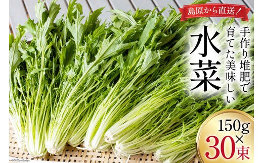 CH017 水菜 150g×30束