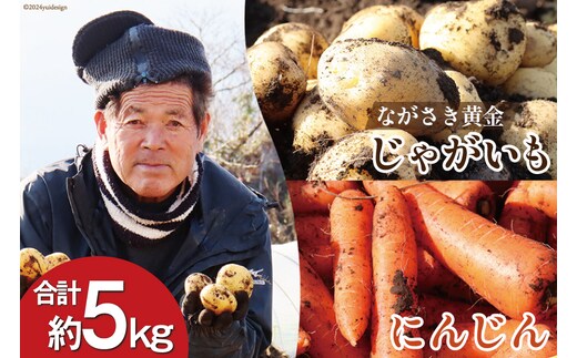 BI118 じゃがいも ＆ 人参 セット ( ながさき黄金＆冬人参 ) 約 5kg [ 野菜 野菜セット 詰め合わせ ジャガイモ にんじん ニンジン 5kg 5キロ 黄金 贅沢宝庫 長崎県 島原市 ]