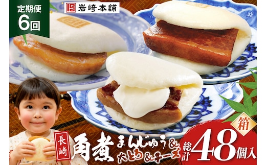 BJ518 岩崎本舗 【6回定期便】三種食べ比べセット(長崎角煮まんじゅう 4個・大とろ角煮まんじゅう 2個・チーズ角煮まんじゅう 2個) (箱) [岩崎食品 長崎県 島原市]