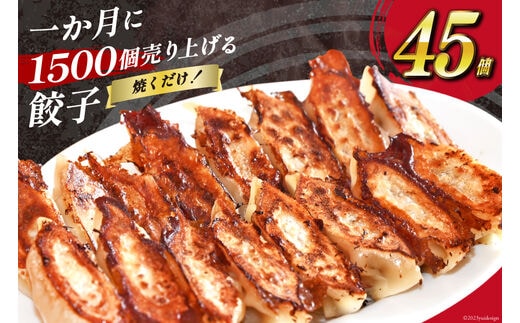 【AH019】 焼くだけ！一か月に1500個売り上げる餃子 45個（15個×3パック）