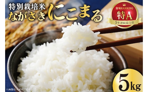CA023 特別栽培米ながさきにこまる[ 白米 精米 ごはん ご飯 こめ おこめ もちもち おにぎり 粘り おいしい 長崎県産 長崎県産米 長崎にこまる 長崎県 島原市 ]