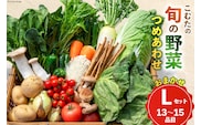 AI023【10～5月限定出荷】こむたの旬の野菜つめあわせ(13～15品目)おまかせ L セット 【 野菜 やさい 旬 種類 人気 オススメ 新鮮 詰め合わせ こむた 小無田 青果 長崎県 島原市 】